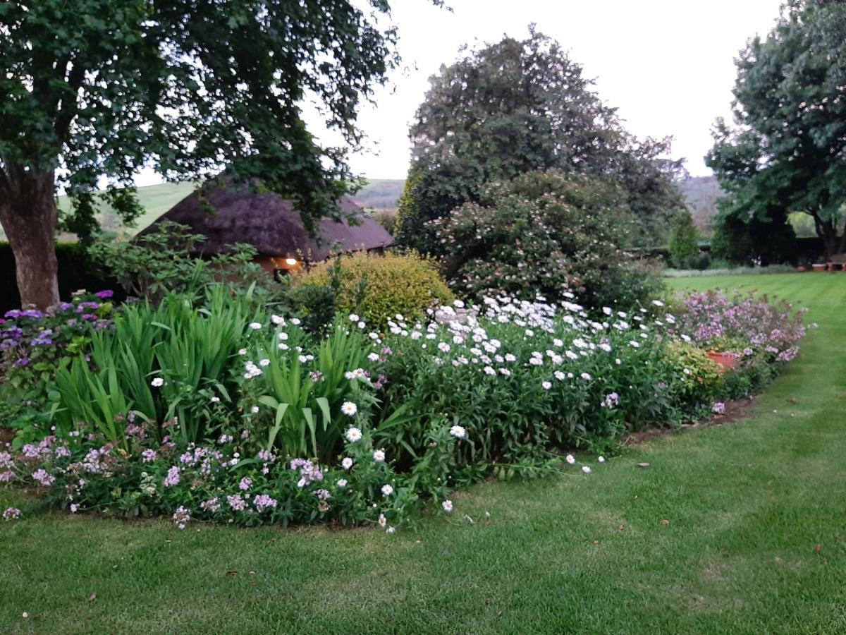 Rosedale Self Catering Cottage With Pool And Large Entertainment Bbq Area Henburg Park Exterior foto